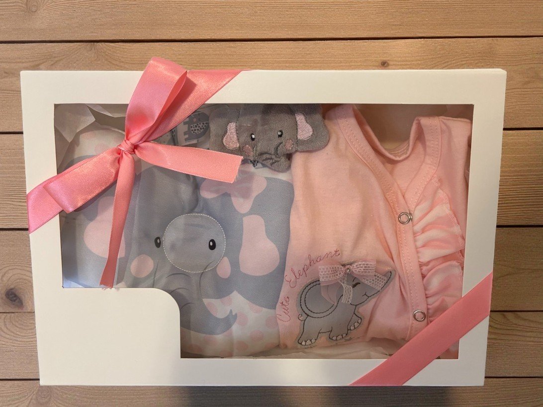 Presente Maternidade macacão longo de bebê elefantinha Rosa